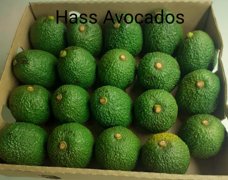 Hass Avocado