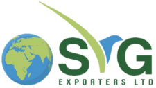 svg logo